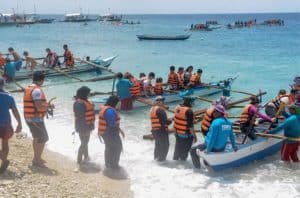Why I didn’t swim with the Whale Sharks in Cebu