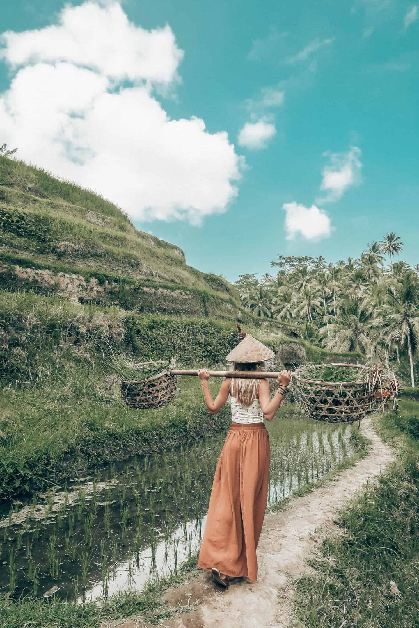 tegalalang rice terraces