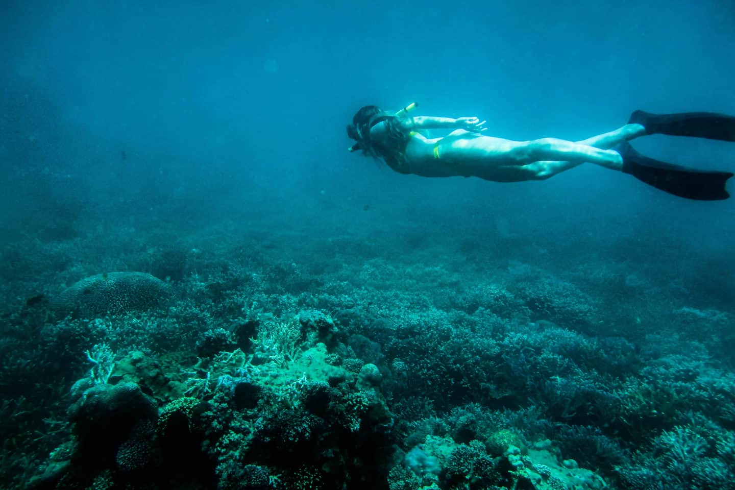 komodo diving living on a boat in Indonesia