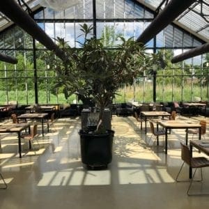 Best Restaurants in Amsterdam