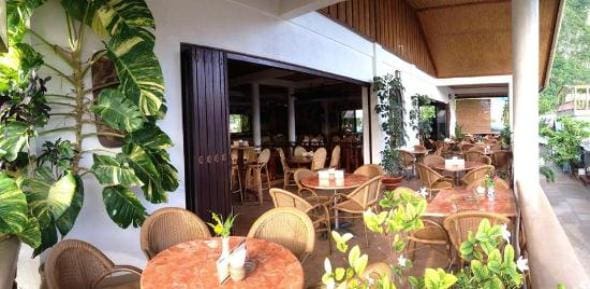 best restaurants in el nido