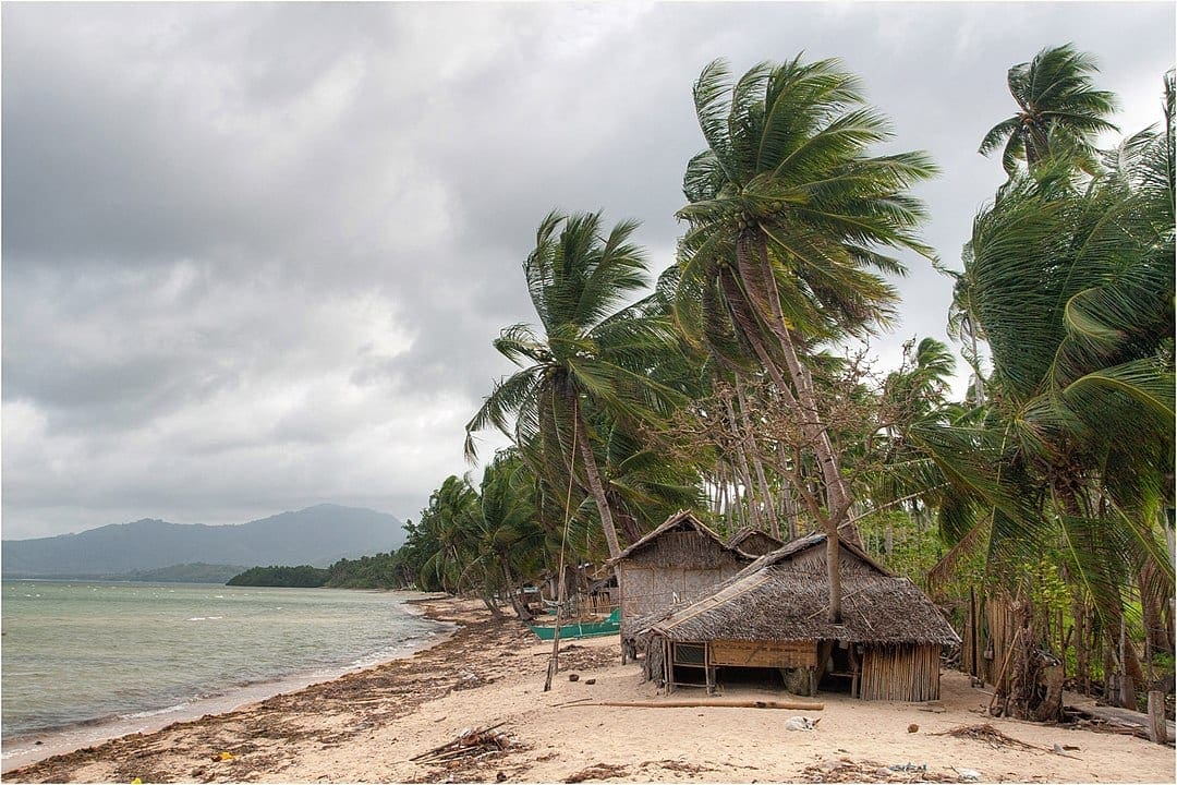 el nido history