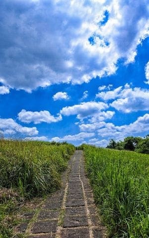 Top 10 Things to do in Ubud