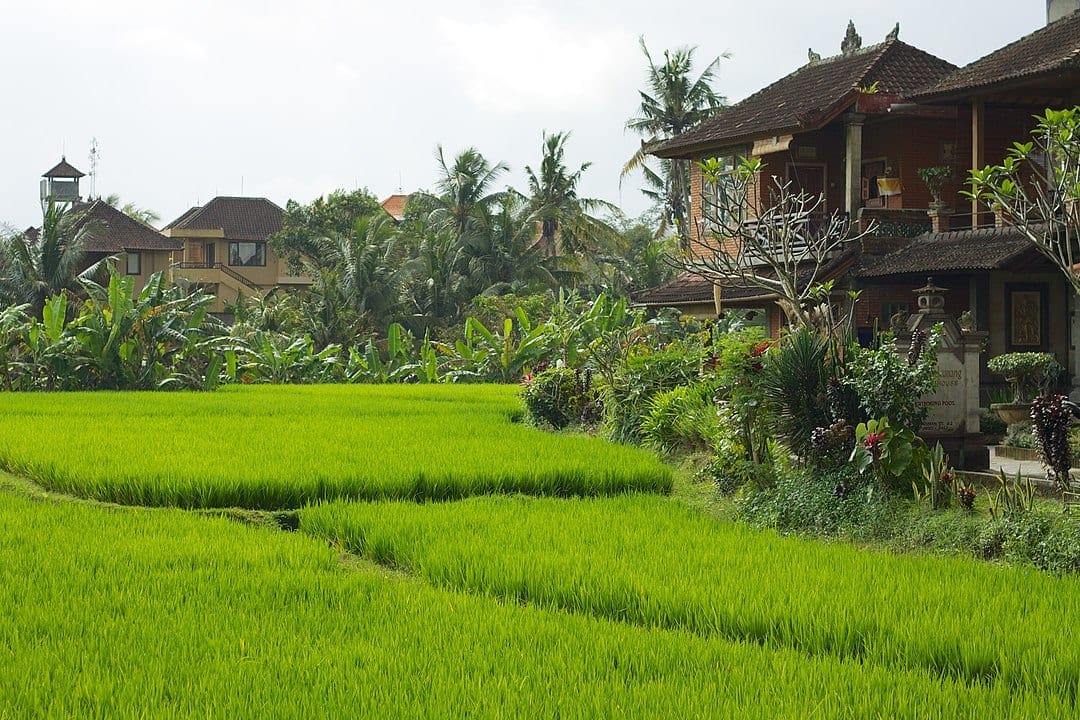 accommodations in ubud