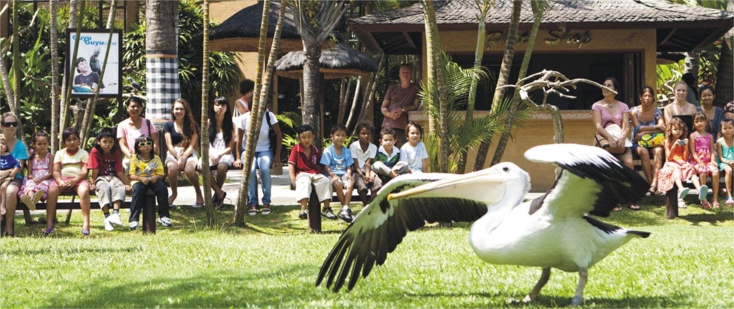 bird park ubud