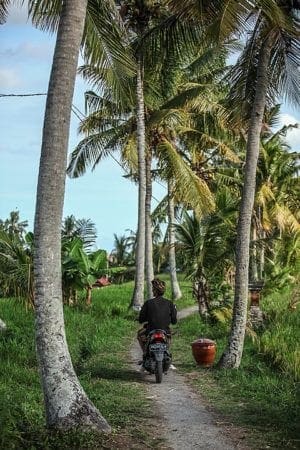 Ubud Travel Guide