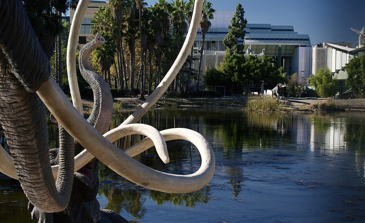 la brea tar pits Los Angeles