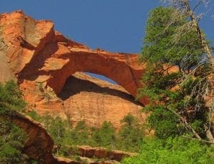 Zion National Park Travel Guide