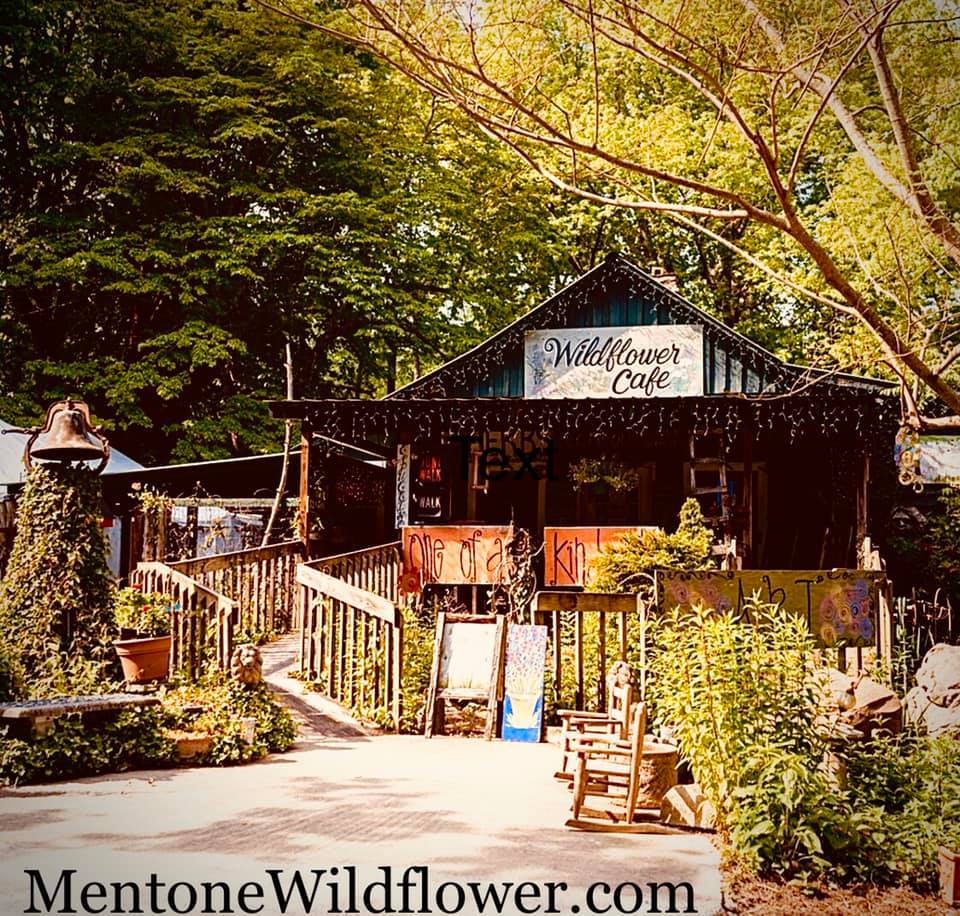 Mentone wildflower