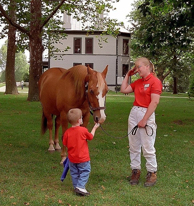 Kentucky horse park