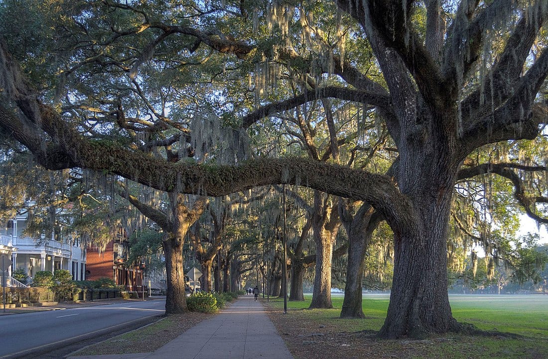 top 10 things to do in Savannah