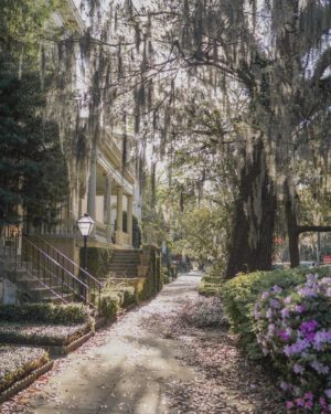 Savannah Travel Guide