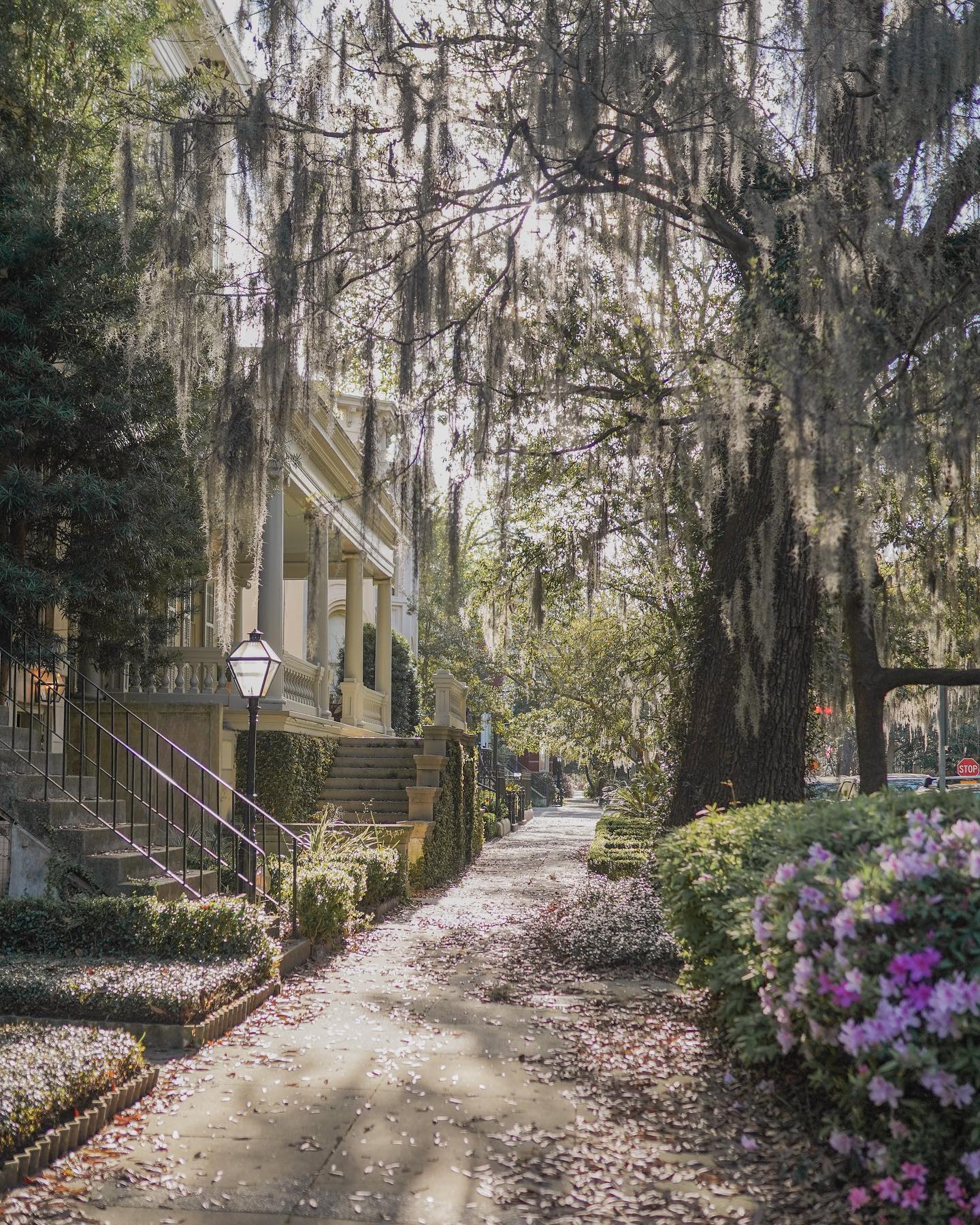 what to see & do savannah travel guide