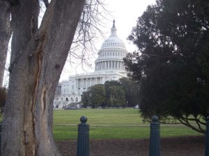 Washington DC Travel Guide