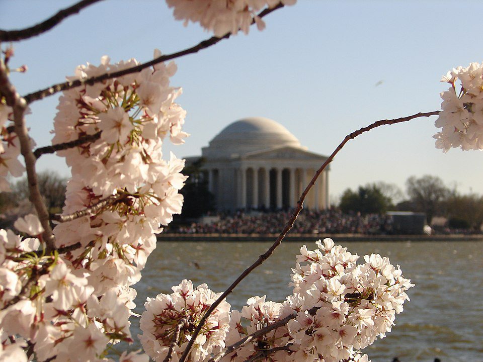 best time to visit Washington DC travel guide
