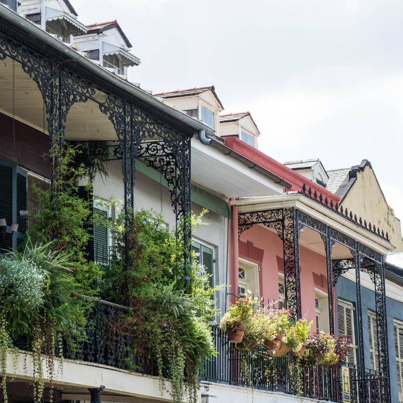what to see & do New Orleans travel guide