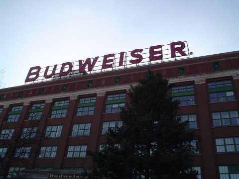 budweiser things to do in St. Louis