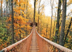 Gatlinburg Travel Guide