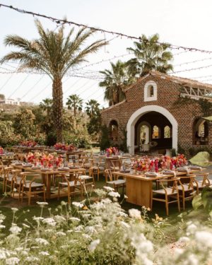 Best Restaurants in Cabo
