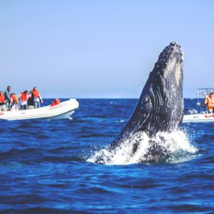Cabo Travel Guide