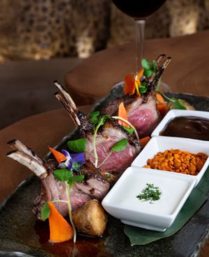 Best Restaurants in Iceland