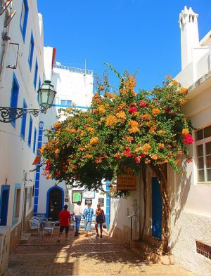Albufeira Travel Guide