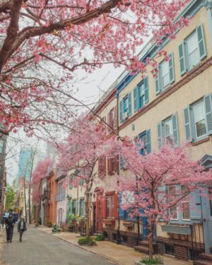 Philadelphia Travel Guide